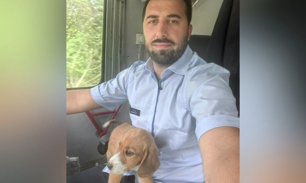 Dirljiva priča iz Srbije: Mašinovođa zaustavio voz da bi spasio kuče, a potom ga i udomio